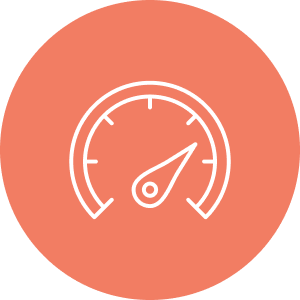 Speed and Performance Optimization Included